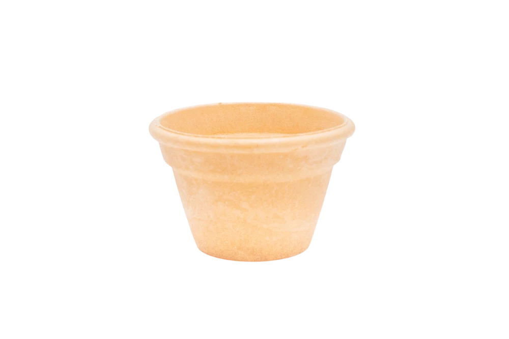 Vaso 125 de pasta Nuss